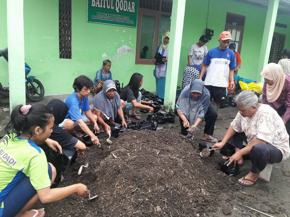 Tekan Harga, Bantul Sebar 10 Ribu Bibit Cabai