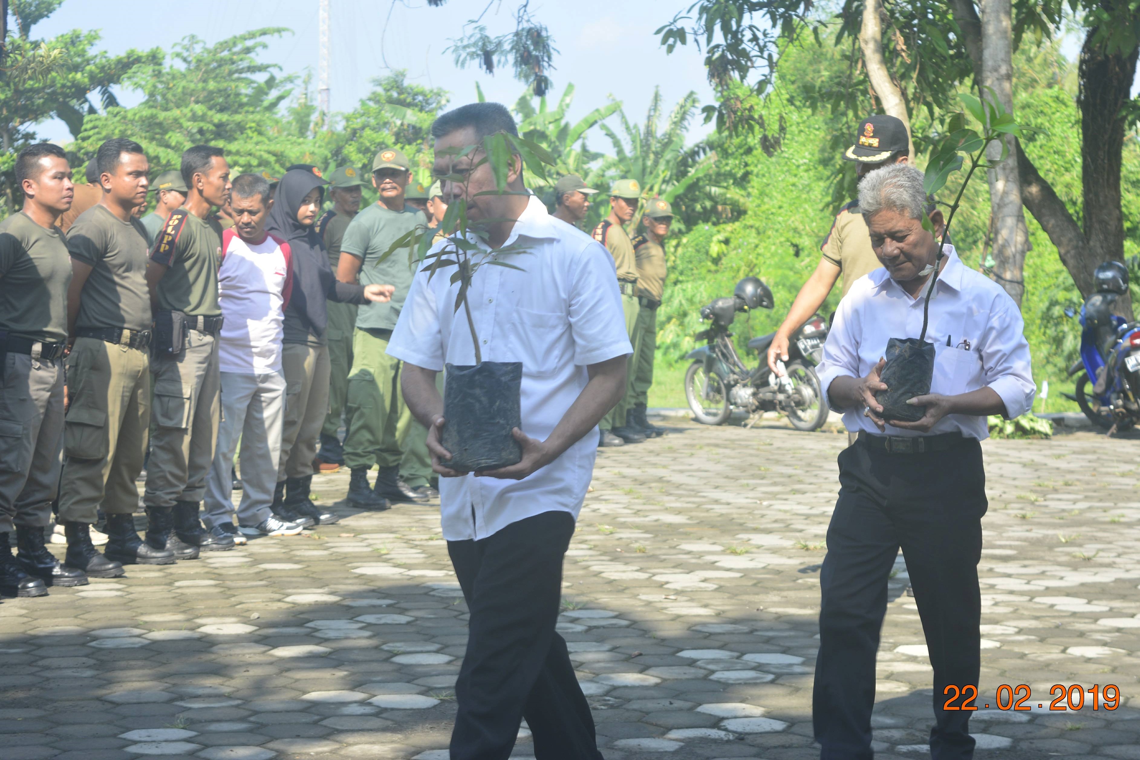 Satpol PP Bantul Tebar 8000 Benih Ikan Dan Tanam Pohon Di Embung Julantoro