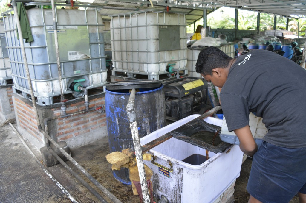 Kepala Dilepas, Ekor Dipegang (Bagian II)