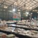 IBCF 2026 Teguhkan Sanad Keilmuan Lewat Buku, Seni, dan Budaya
