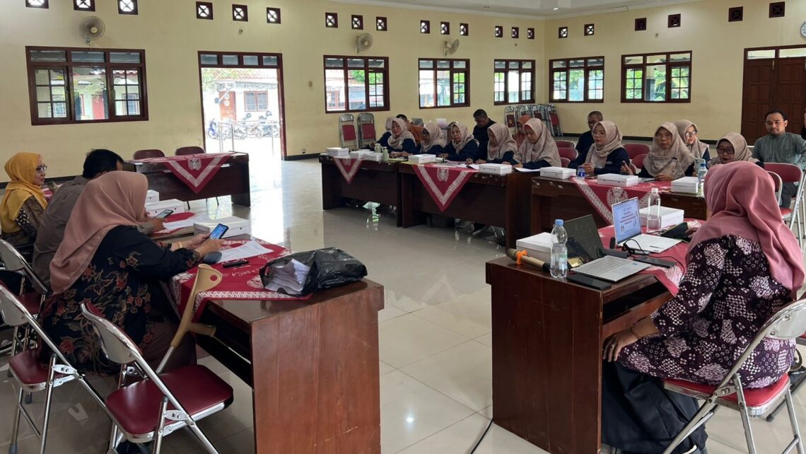 pelatihan pendataan disabilitas