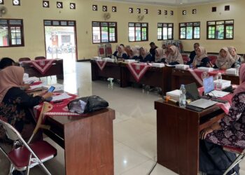 pelatihan pendataan disabilitas